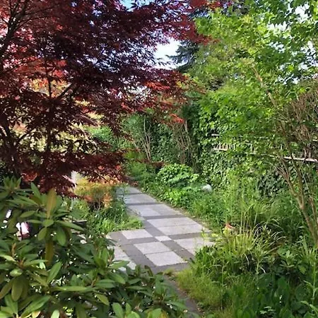 B - Sunny Business With Roof-top Terrace For 2-4 Guests Daire *