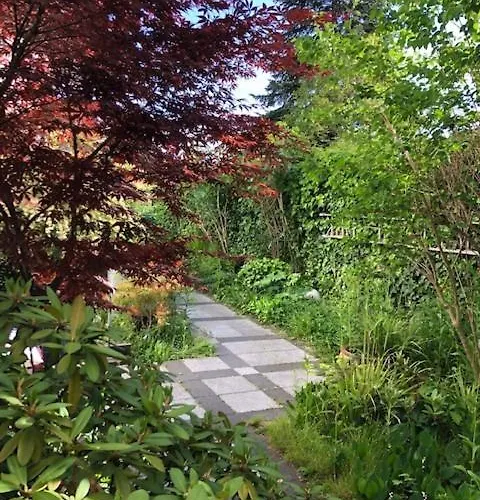 B - Sunny Business With Roof-top Terrace For 2-4 Guests Lejlighed *